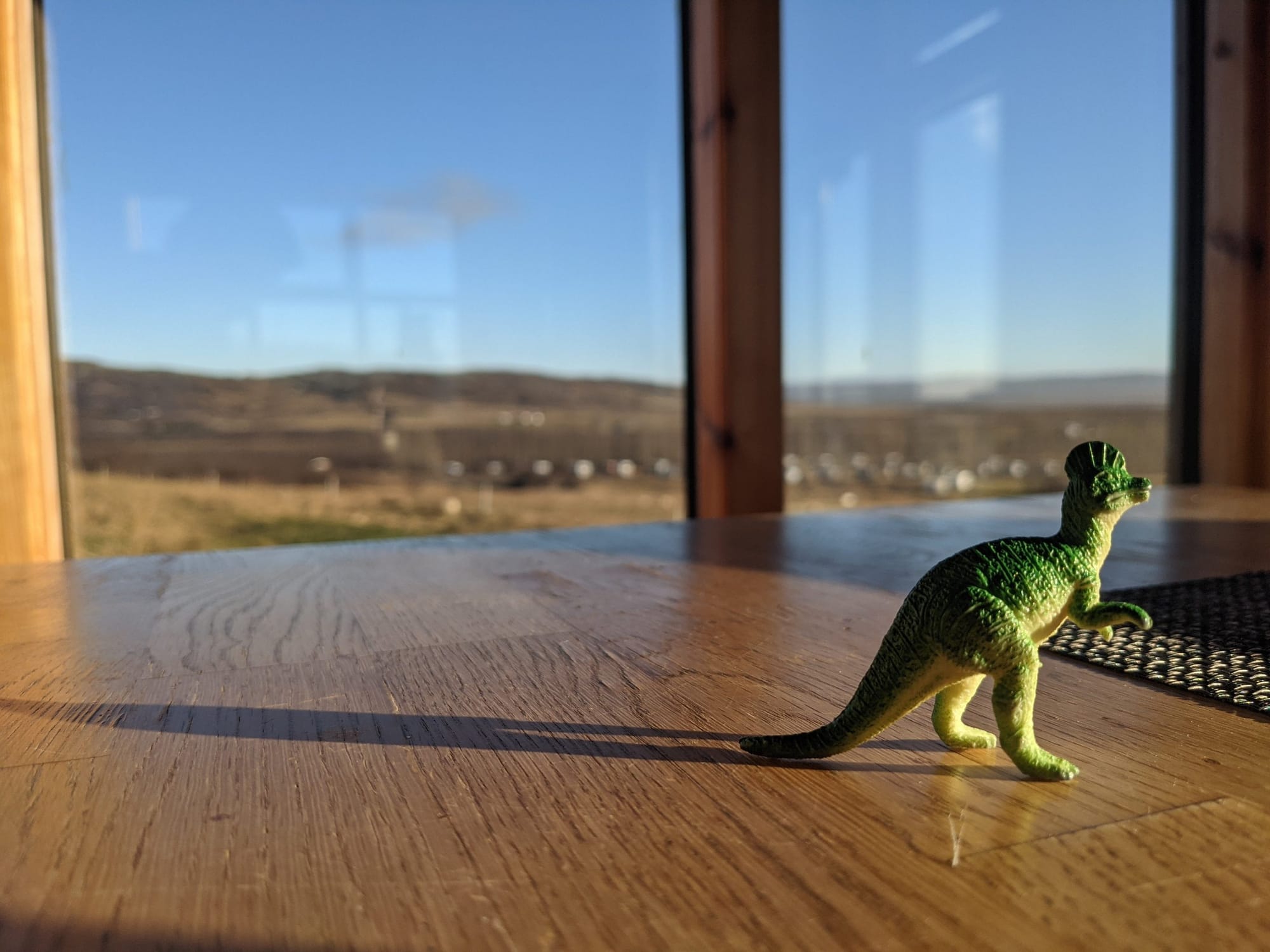 Travel Dino