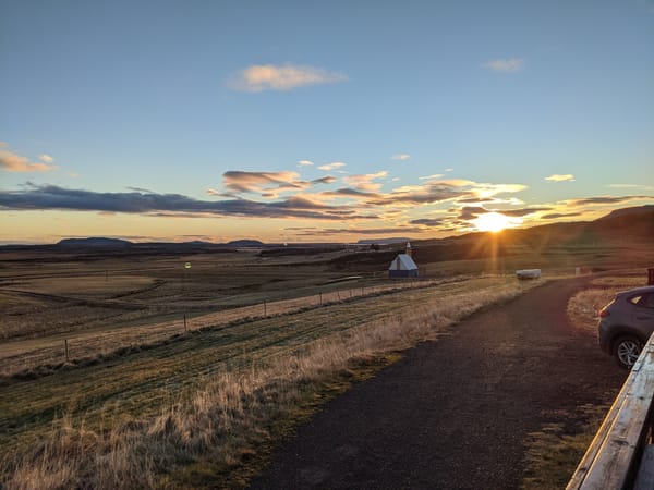 Sheep, and the Glories of Northern Light